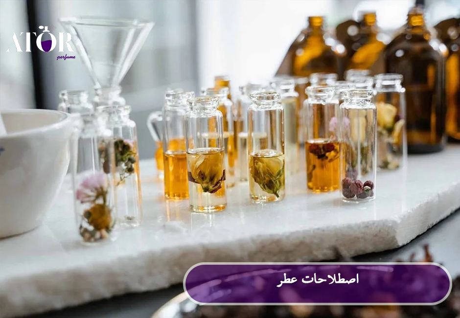 اصطلاحات عطر و ادکلن